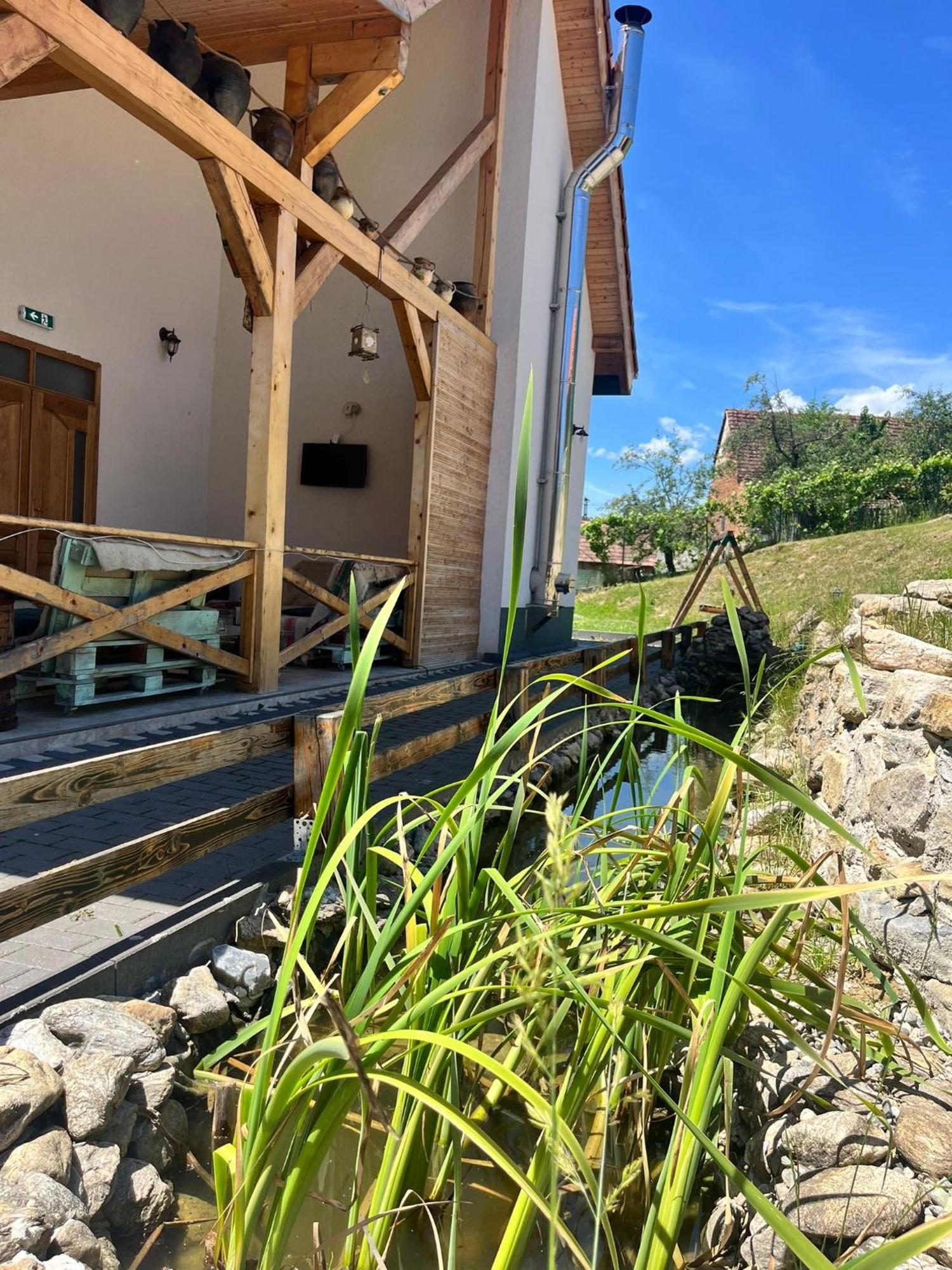 Domeniul Bondarelului Hotel Ocolisu Mic Exterior photo